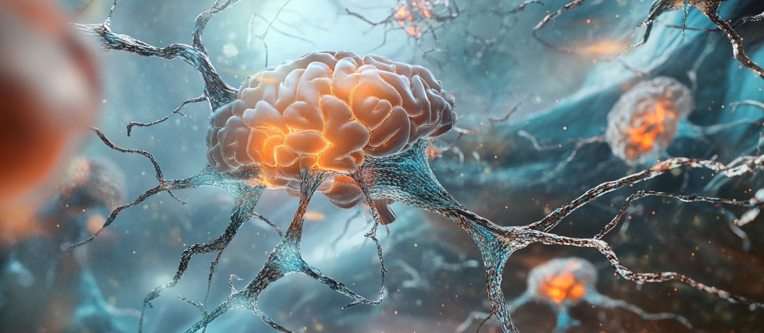 Die Bedeutung neuronaler Verbindungen: Wie Erfahrungen unser Gehirn formen